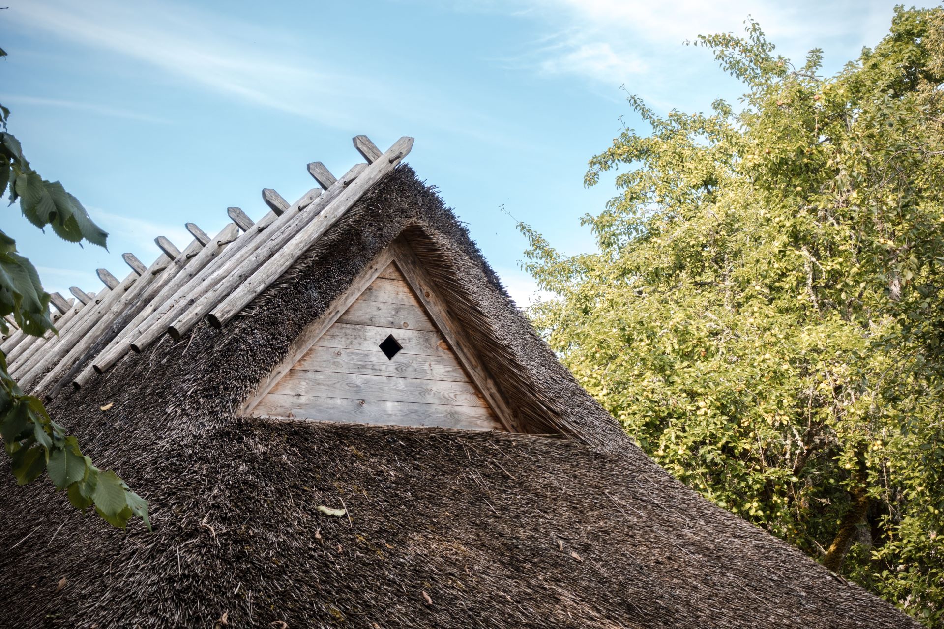 Thatched Roof Maintenance Basics in South Africa