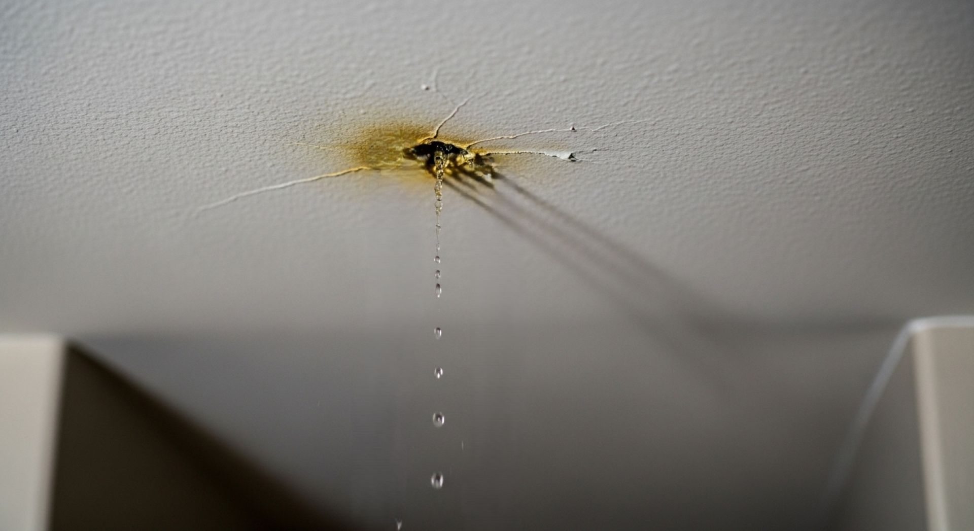 Early Warning Signs of Water Damage in Residential Homes